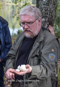Jorma ja valkok&auml;rp&auml;sieni