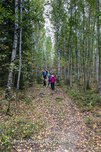 ryhm&auml;