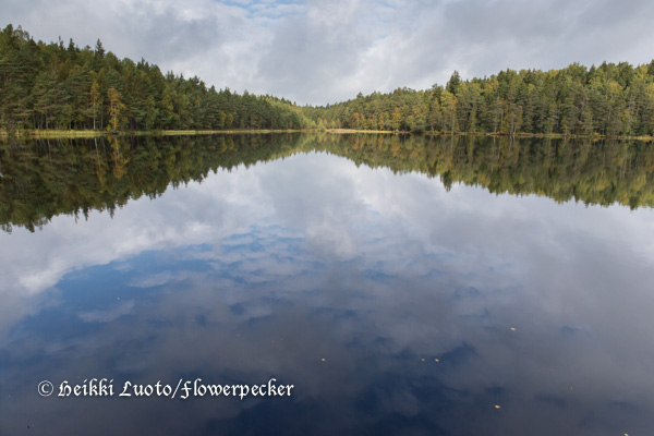 stortr&auml;sk